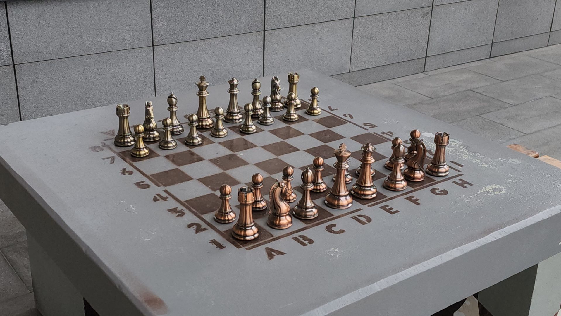 сво, шахматы, красногорск,