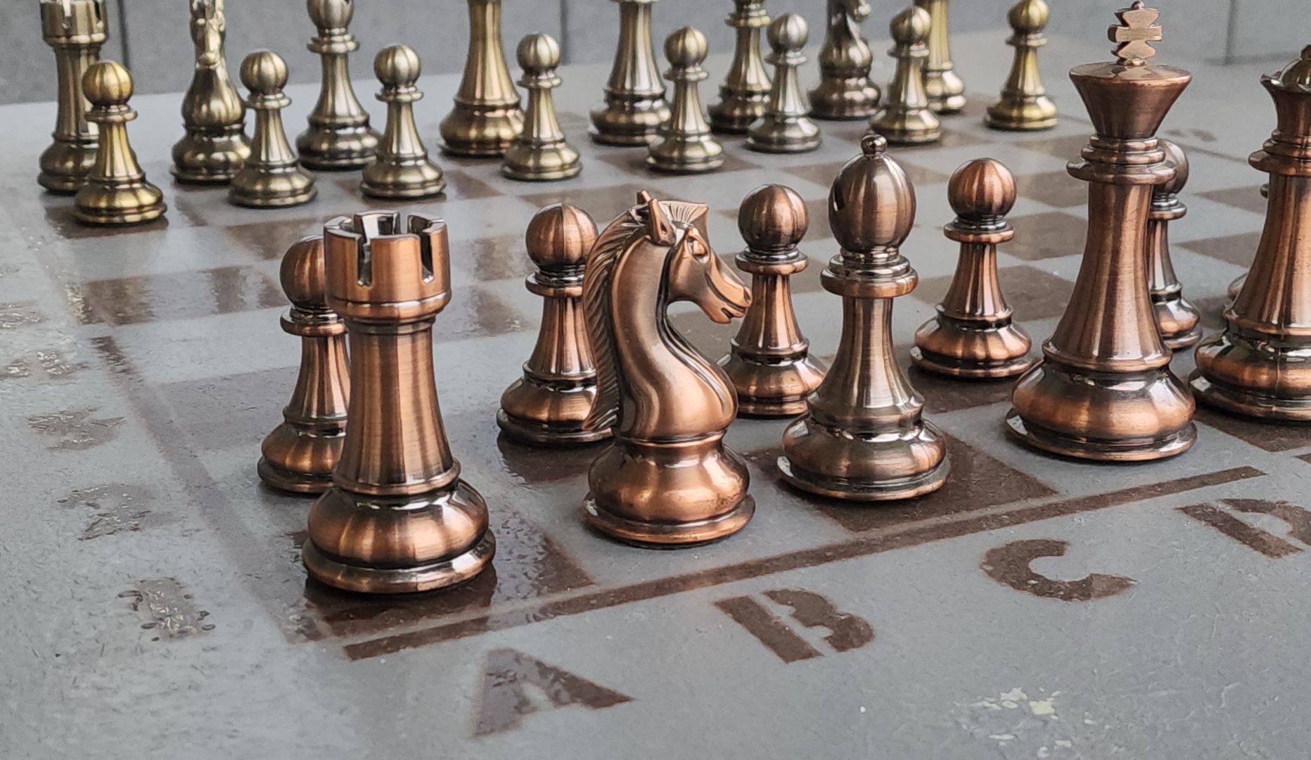 сво, шахматы, красногорск,