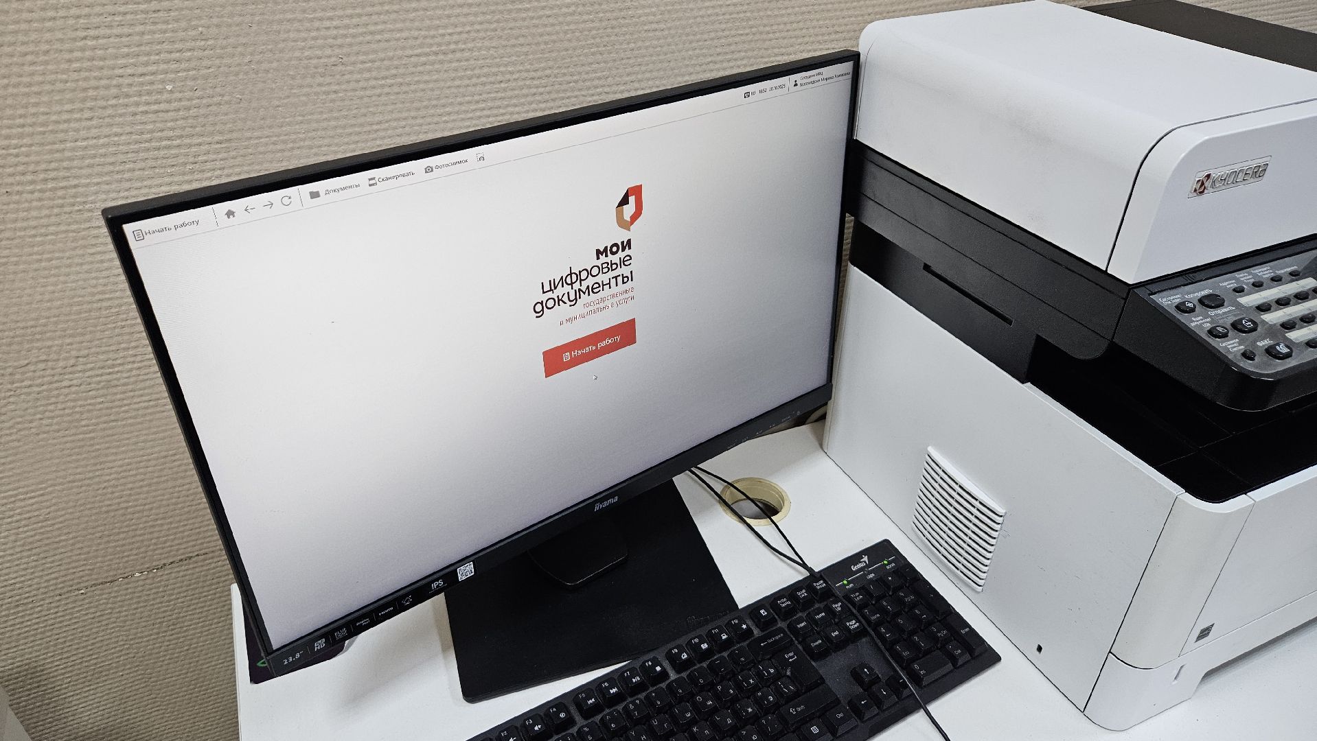 долгопрудный,дети, школьники, старшеклассники, трудоустройство, трудоустройство подростков,