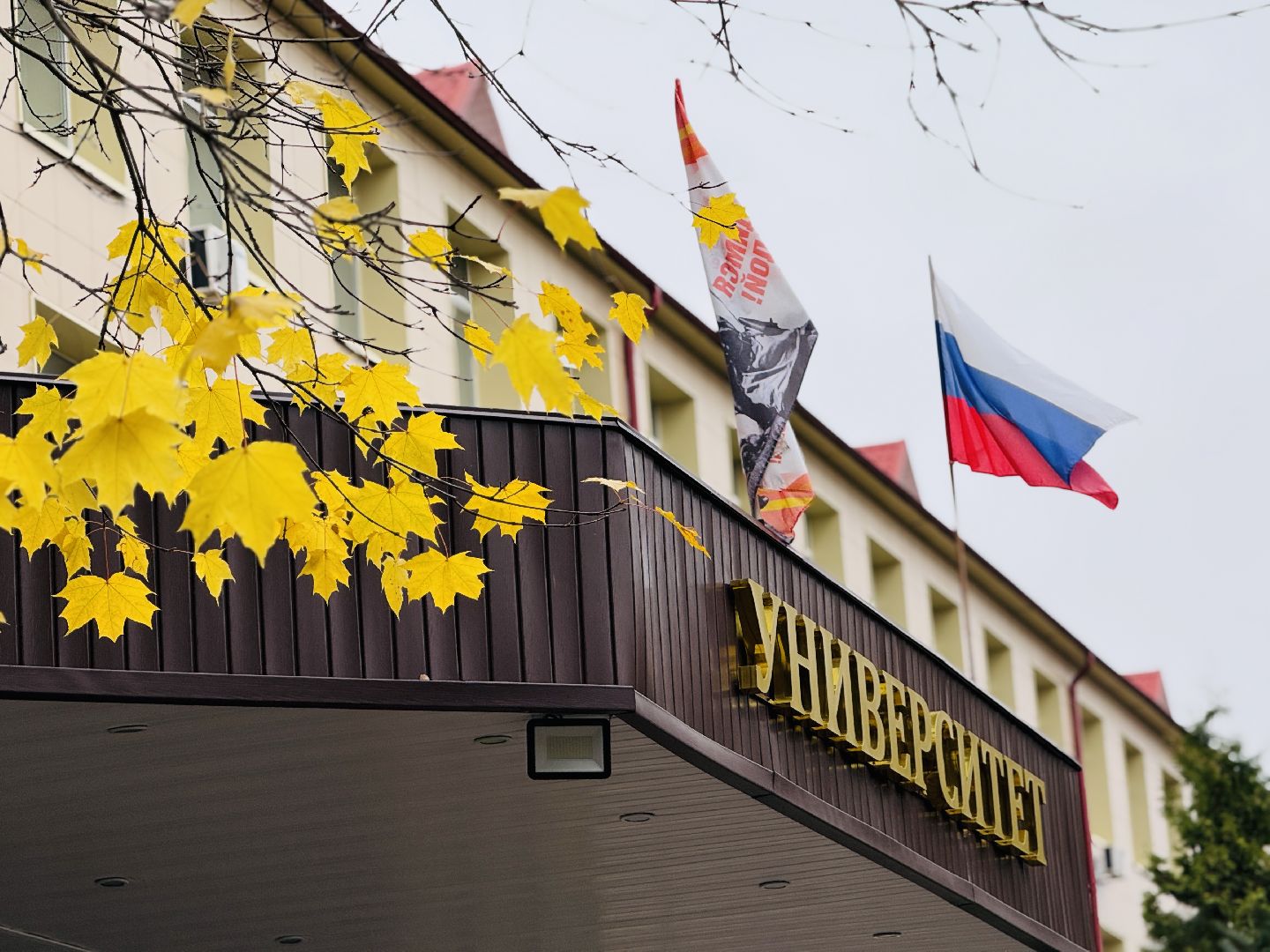 ггу, гжельский университет, высшее образование, вуз, студенты,