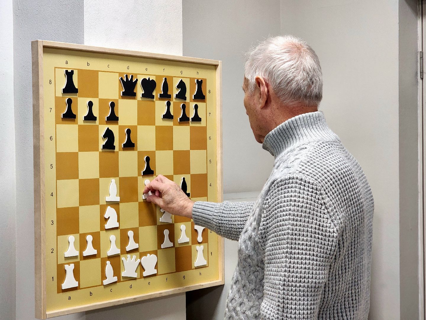 сво, шахматы, карякин, турнир по шахматам,