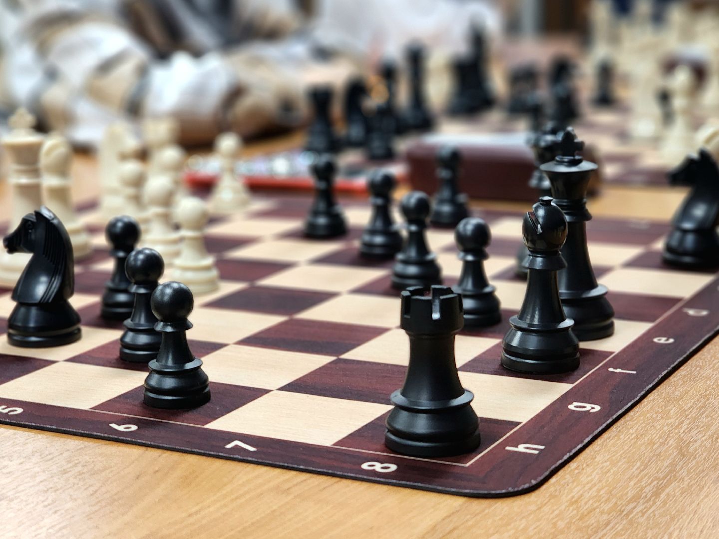 сво, шахматы, карякин, турнир по шахматам,