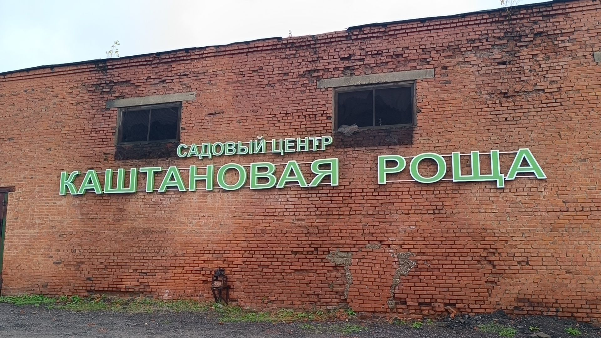 растения, питомник, лобня,