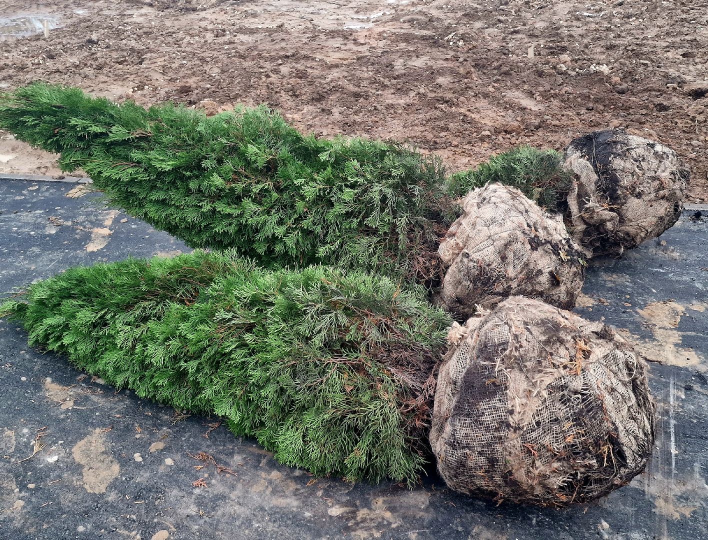 воскресенск, формирование комфортной городской среды,