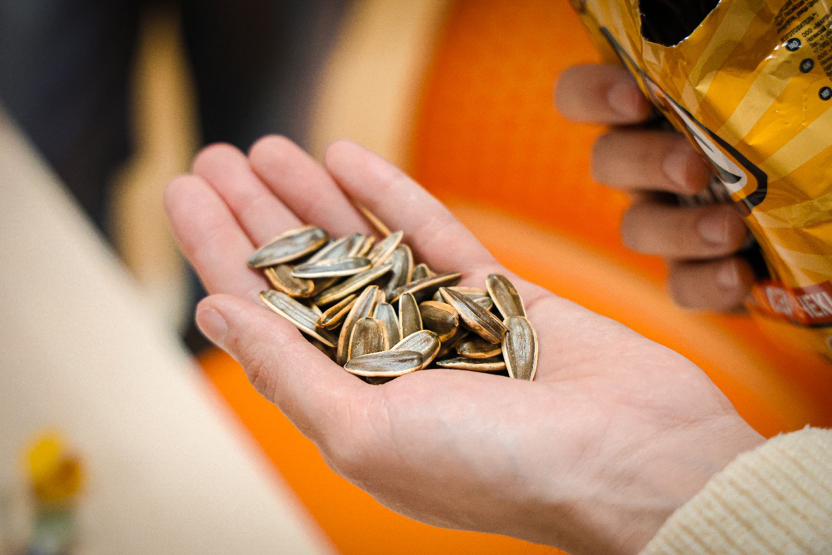 клин, общество, волонтеры, кормушки для птиц,