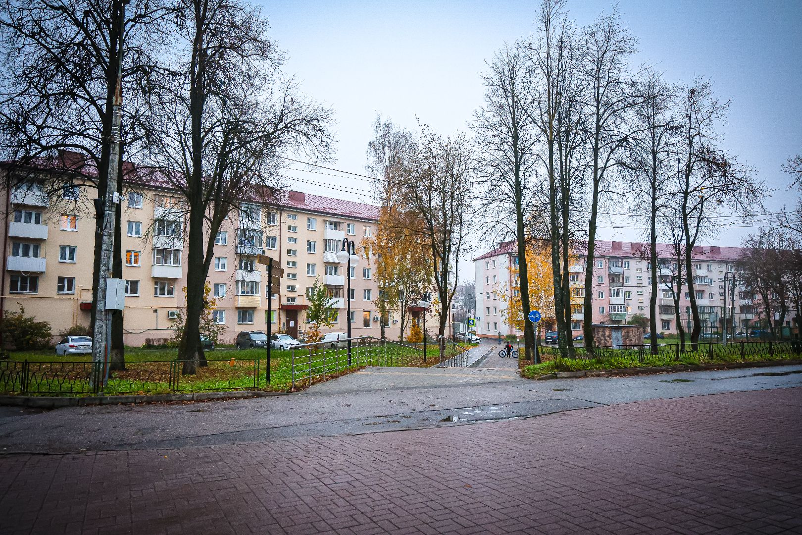 клин, общество, волонтеры, кормушки для птиц,