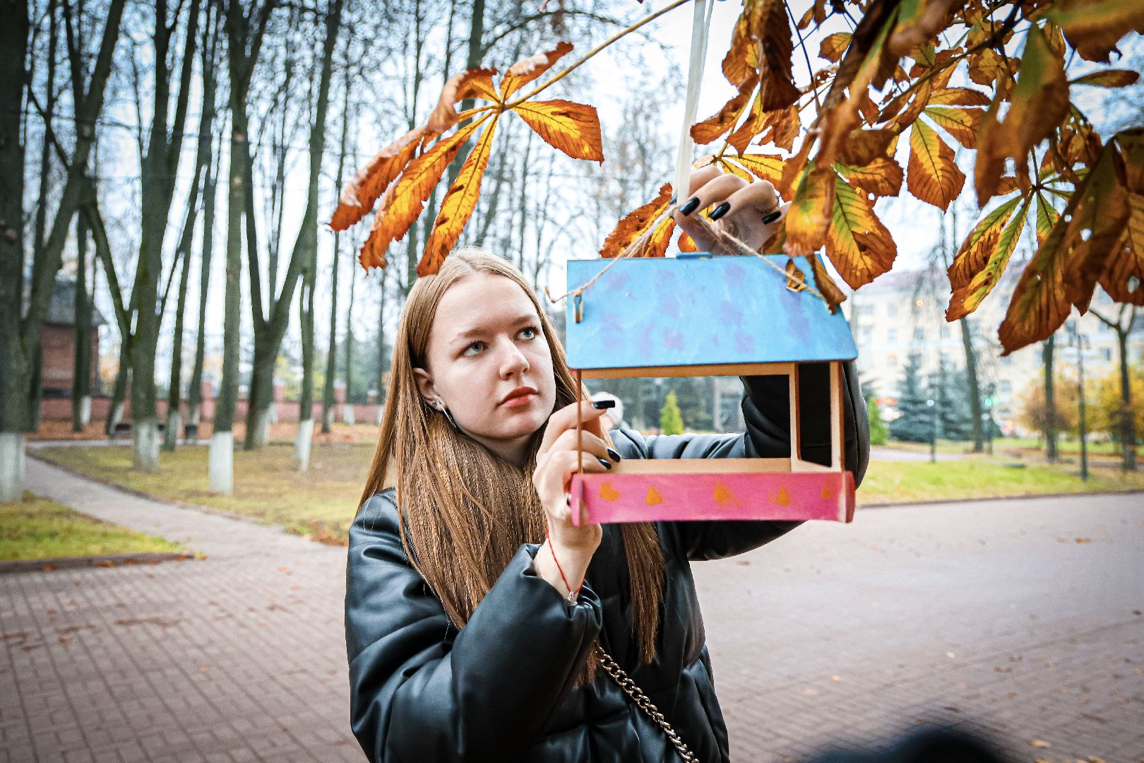 клин, общество, волонтеры, кормушки для птиц,