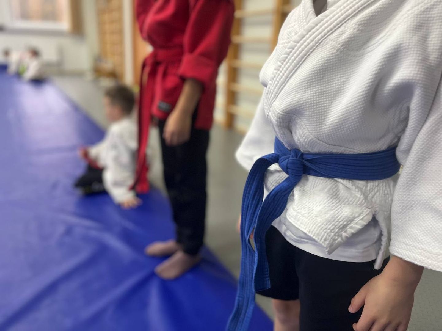 власиха,  самбо во власихе, самбо 70,