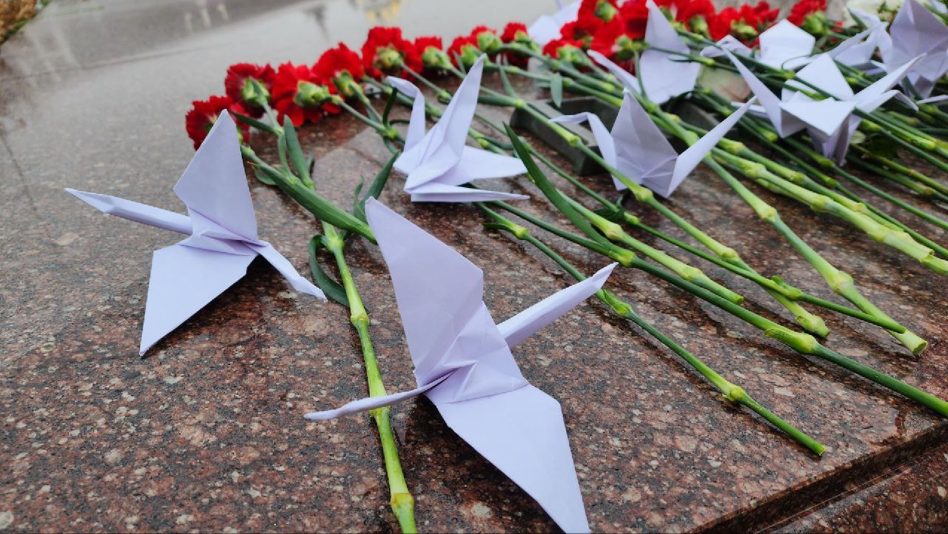 Дмитров, Акция День белых журавлей, Мемориал Вечный огонь,