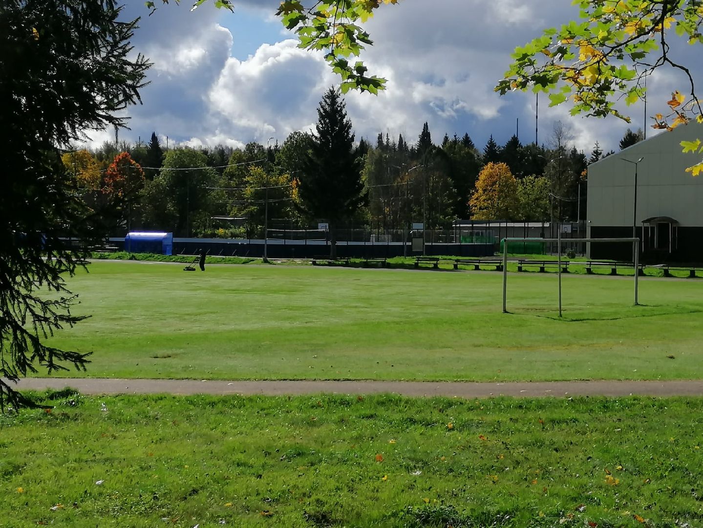 стрижка газонов, стадион, городской округ восход, благоустройство,
