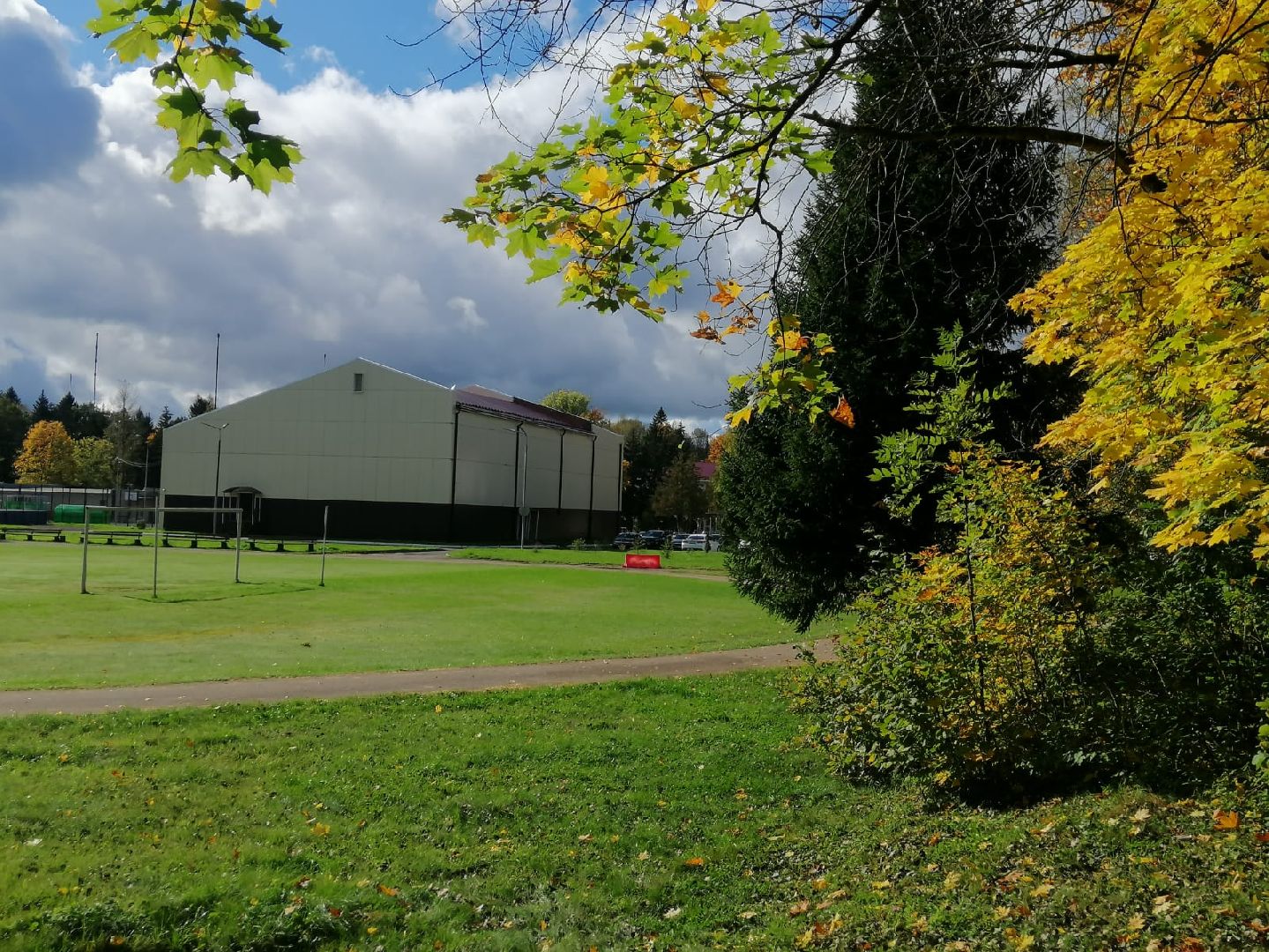 стрижка газонов, стадион, городской округ восход, благоустройство,