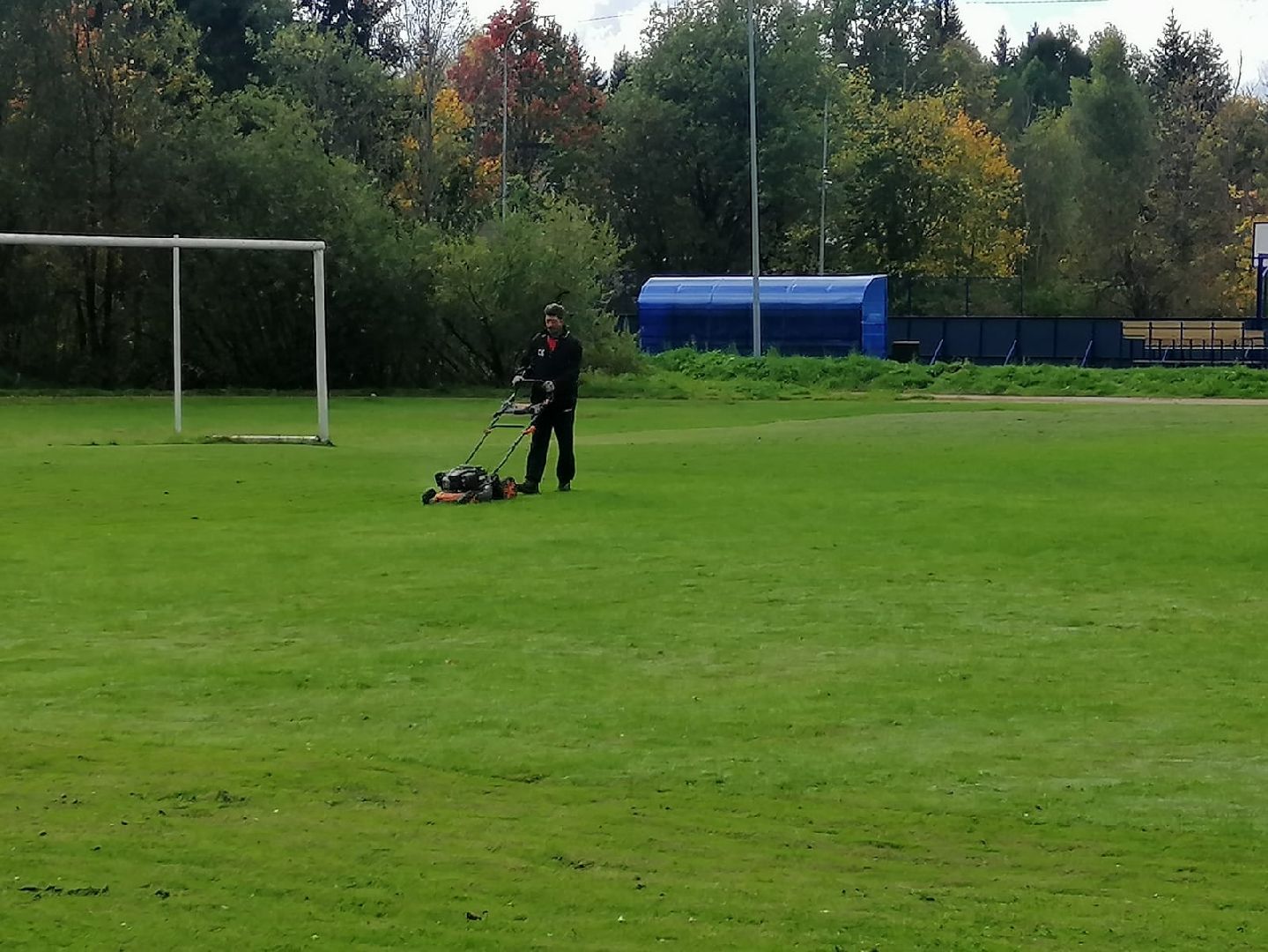 стрижка газонов, стадион, городской округ восход, благоустройство,