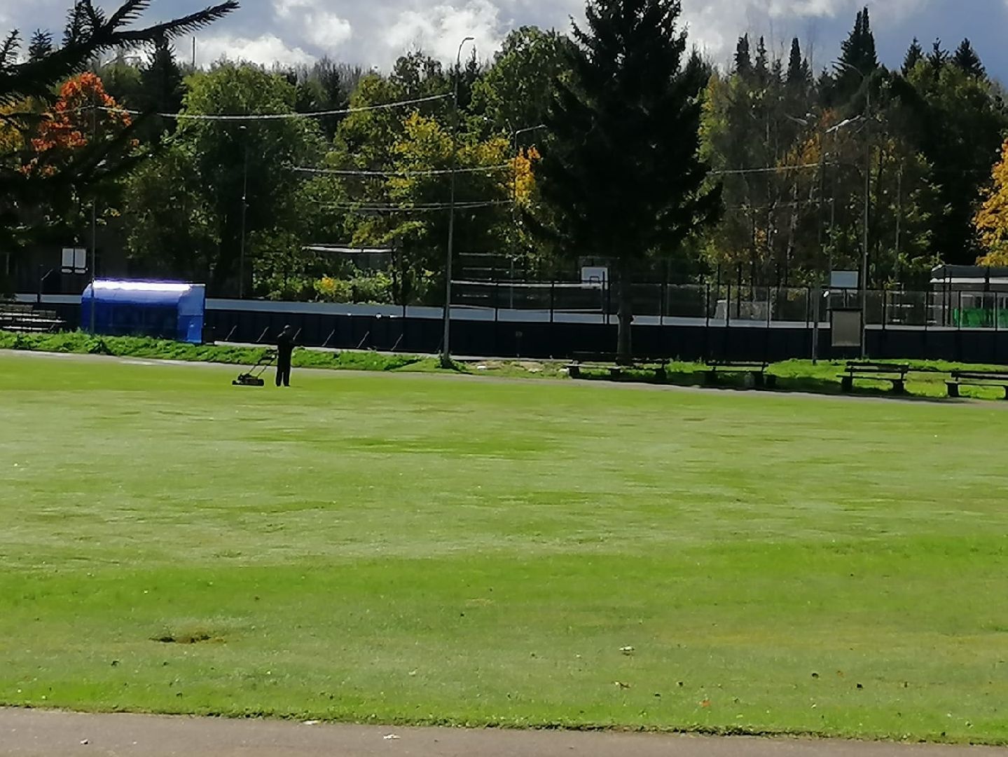 стрижка газонов, стадион, городской округ восход, благоустройство,