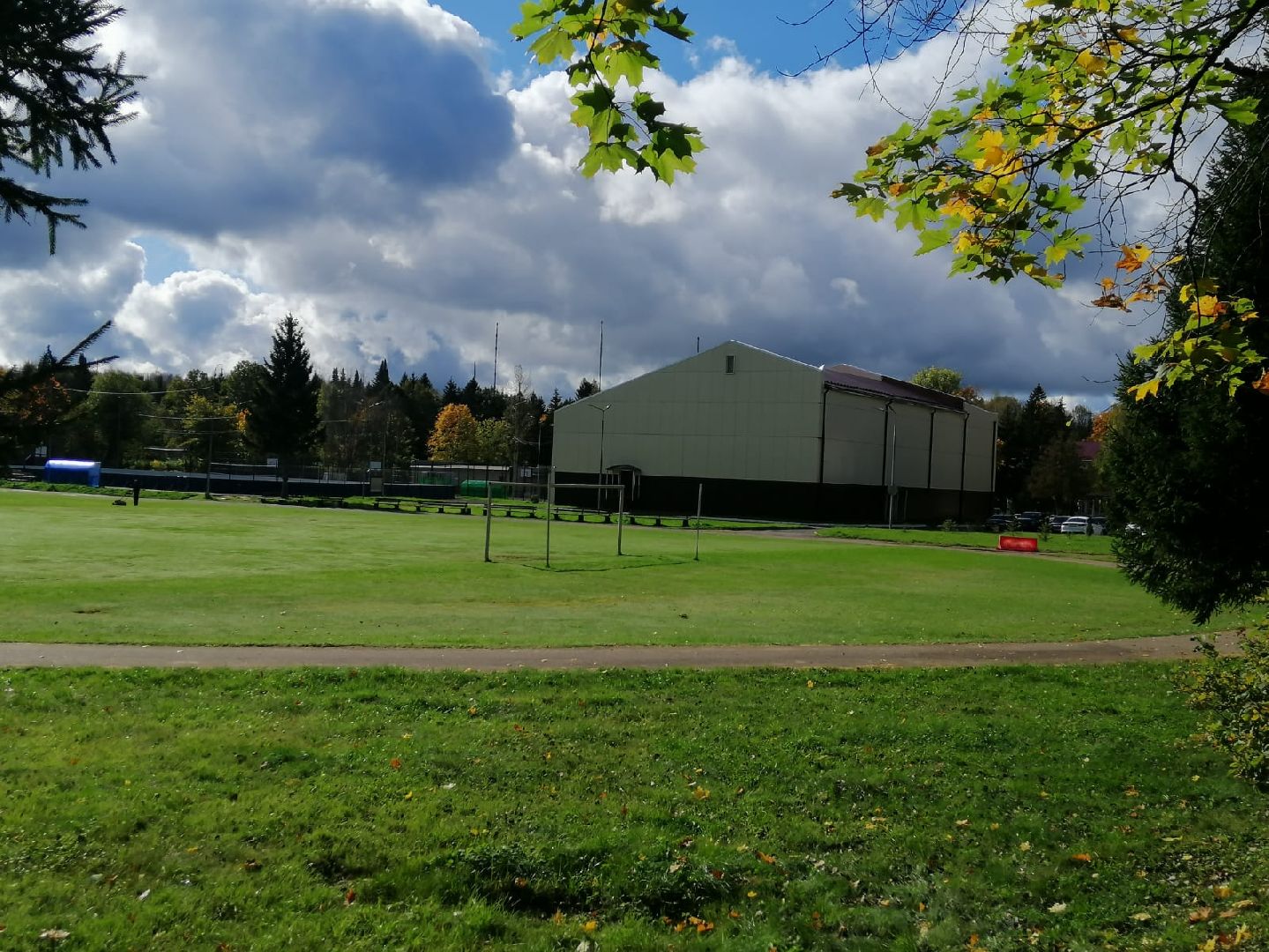 стрижка газонов, стадион, городской округ восход, благоустройство,