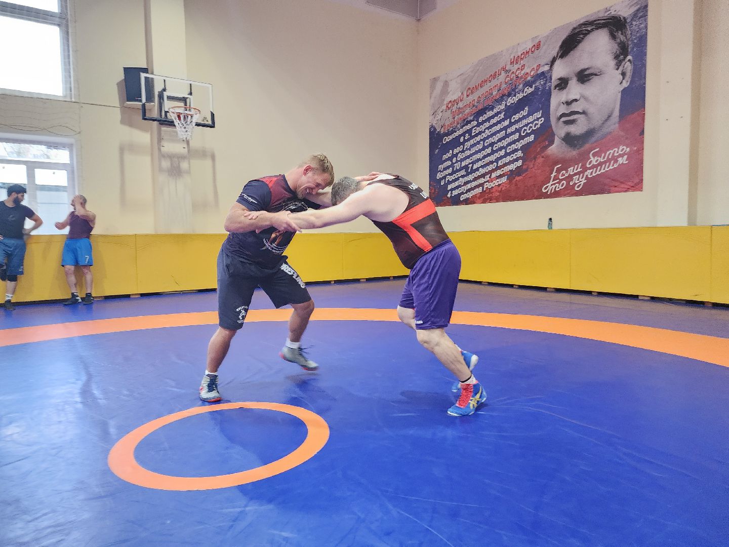 Егорьевск , Подмосковье , Московская область ,Чемпион мира, Вольная борьба,