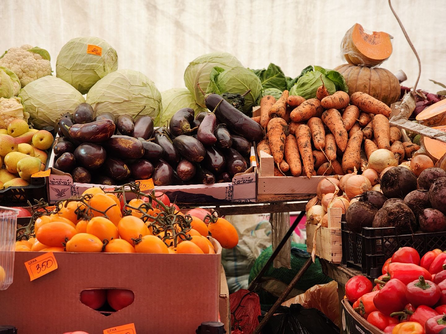 ярмарка, продукты регионов россии, экономика, старая купавна, богородский городской округ,