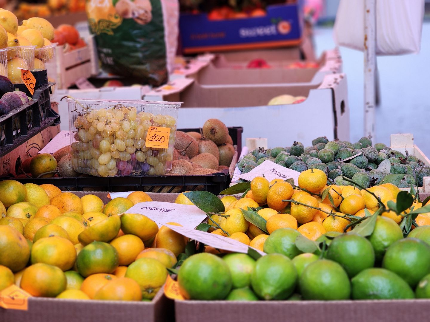 ярмарка, продукты регионов россии, экономика, старая купавна, богородский городской округ,