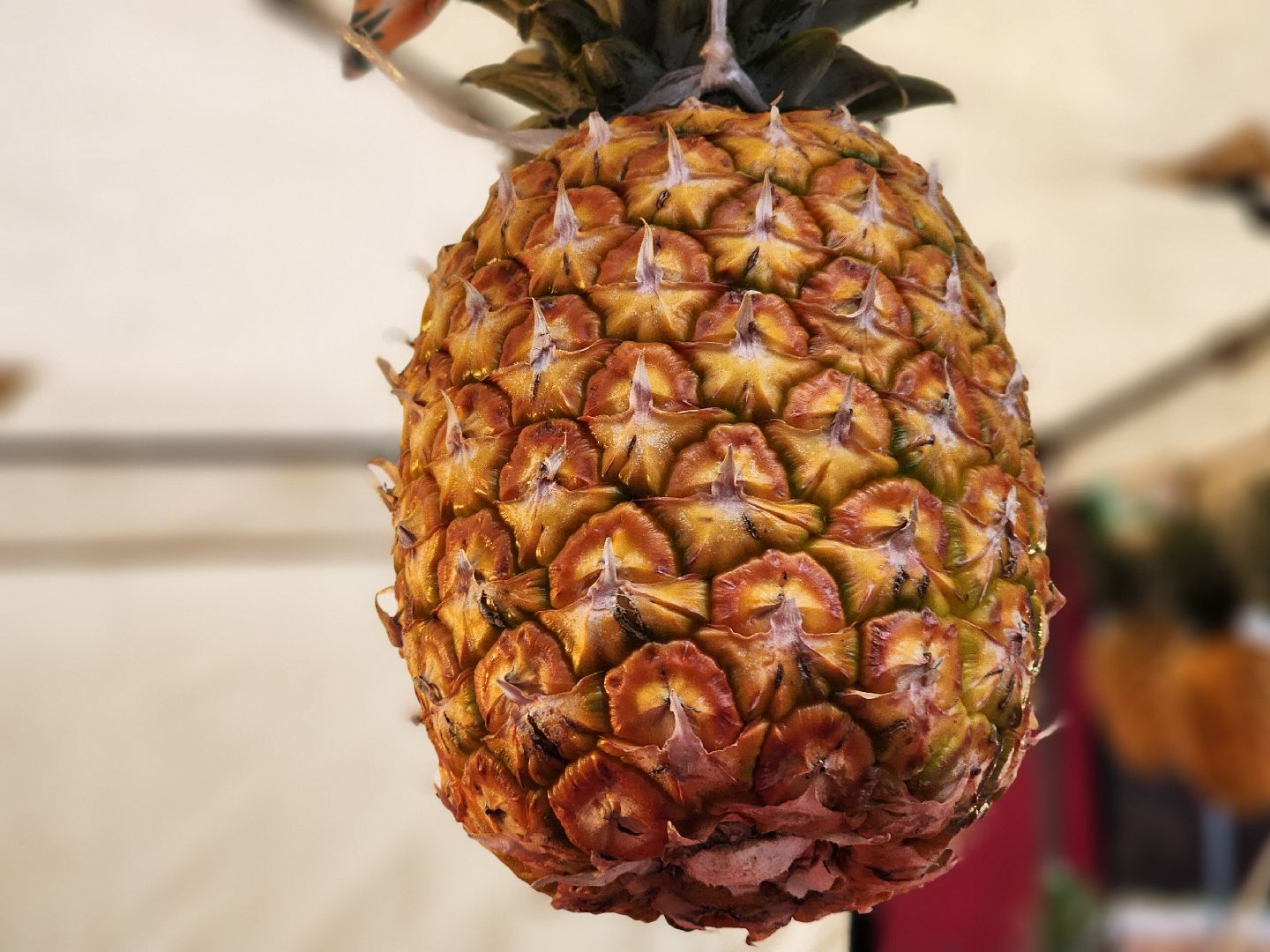 ярмарка, продукты регионов россии, экономика, старая купавна, богородский городской округ,