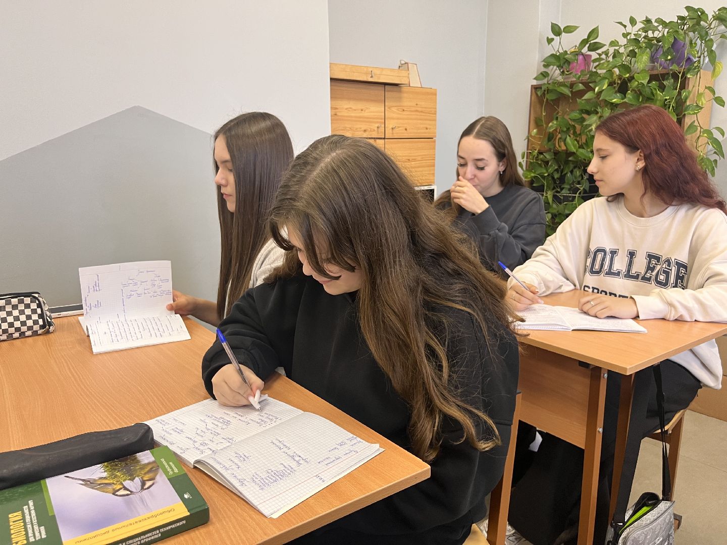 шатура, шатура образование,