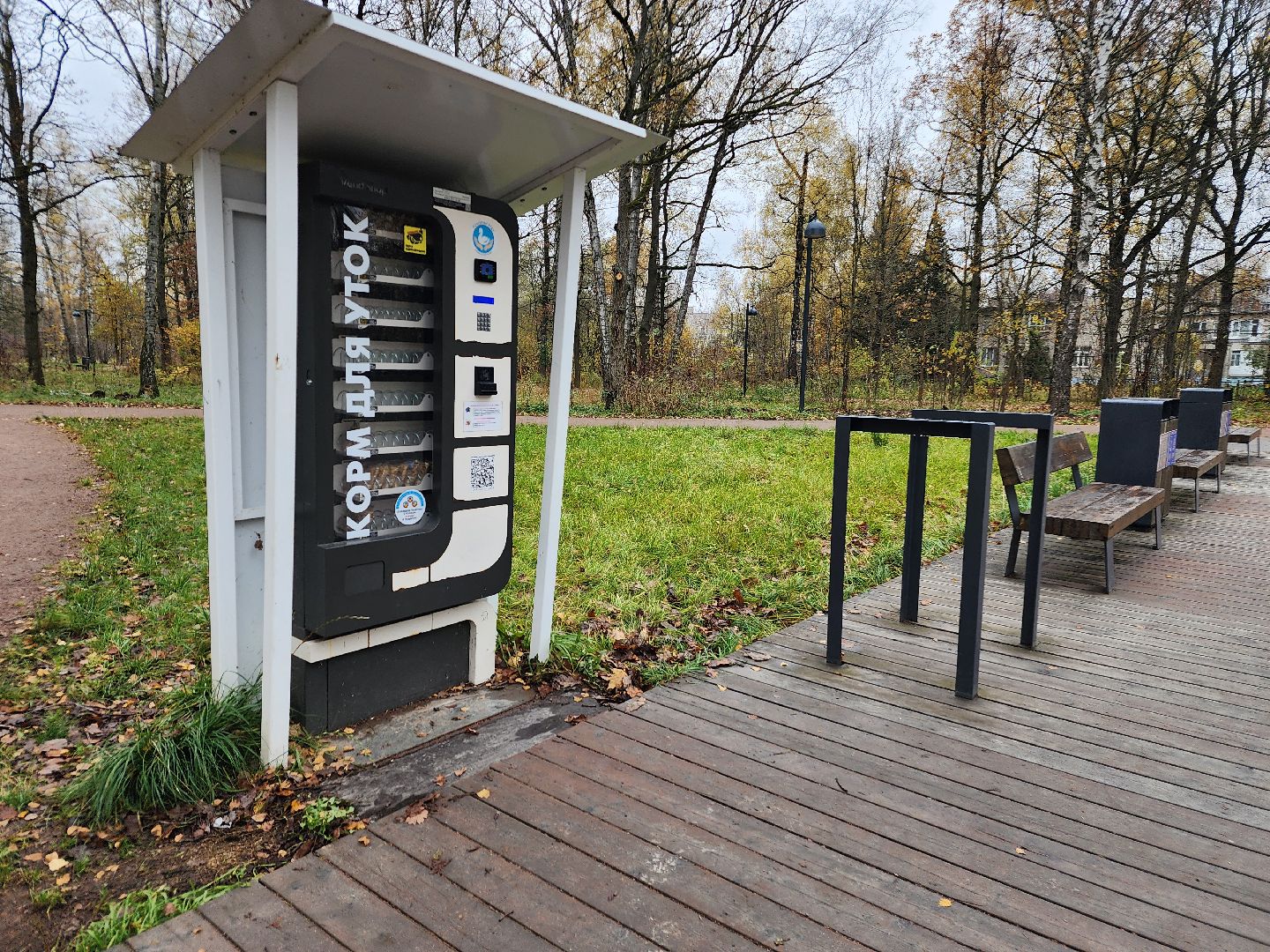 фрязино, лесопарк, утки, экосистема, очистка пруда,