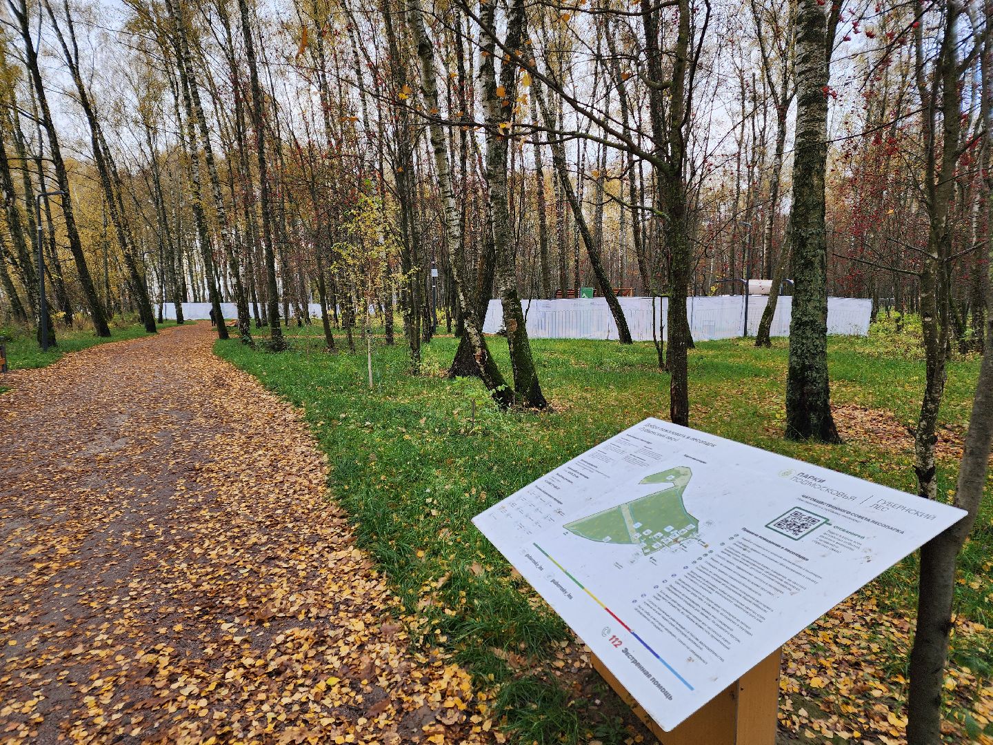чехов,микрорайон губернский, улица уездная, лесопарк, строительство, благоустройство, установка видеокамер, монтаж камер видеонаблюдения, система безопасный регион, столбы освещения, фонари, универсальный павильон, серверная,госпрограмма московской области, формирование комфортной городской среды,