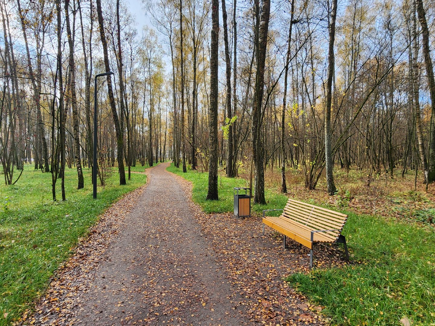 чехов,микрорайон губернский, улица уездная, лесопарк, строительство, благоустройство, установка видеокамер, монтаж камер видеонаблюдения, система безопасный регион, столбы освещения, фонари, универсальный павильон, серверная,госпрограмма московской области, формирование комфортной городской среды,