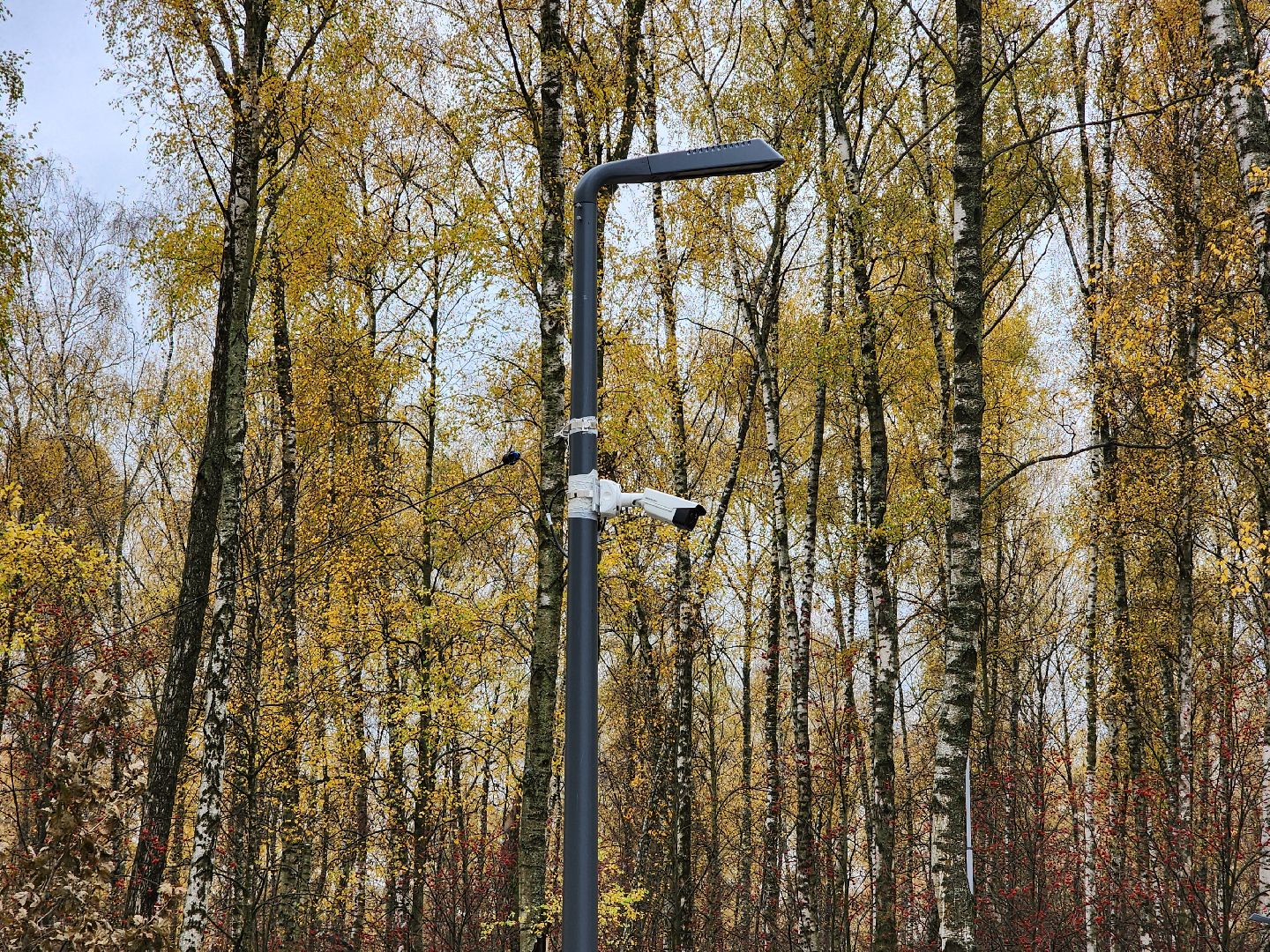 чехов,микрорайон губернский, улица уездная, лесопарк, строительство, благоустройство, установка видеокамер, монтаж камер видеонаблюдения, система безопасный регион, столбы освещения, фонари, универсальный павильон, серверная,госпрограмма московской области, формирование комфортной городской среды,