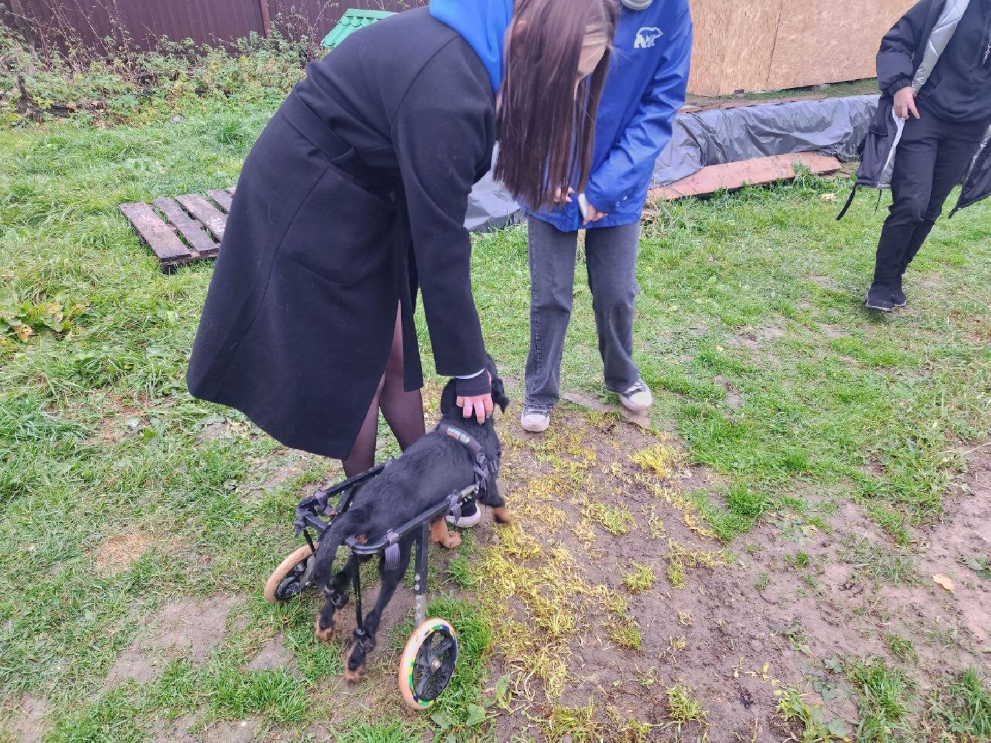 солнечногорск, волантеры, общество,