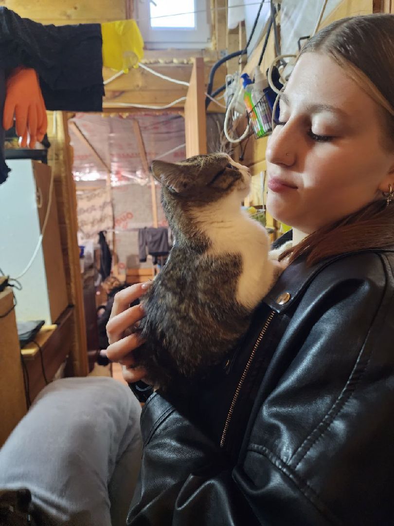 солнечногорск, волантеры, общество,