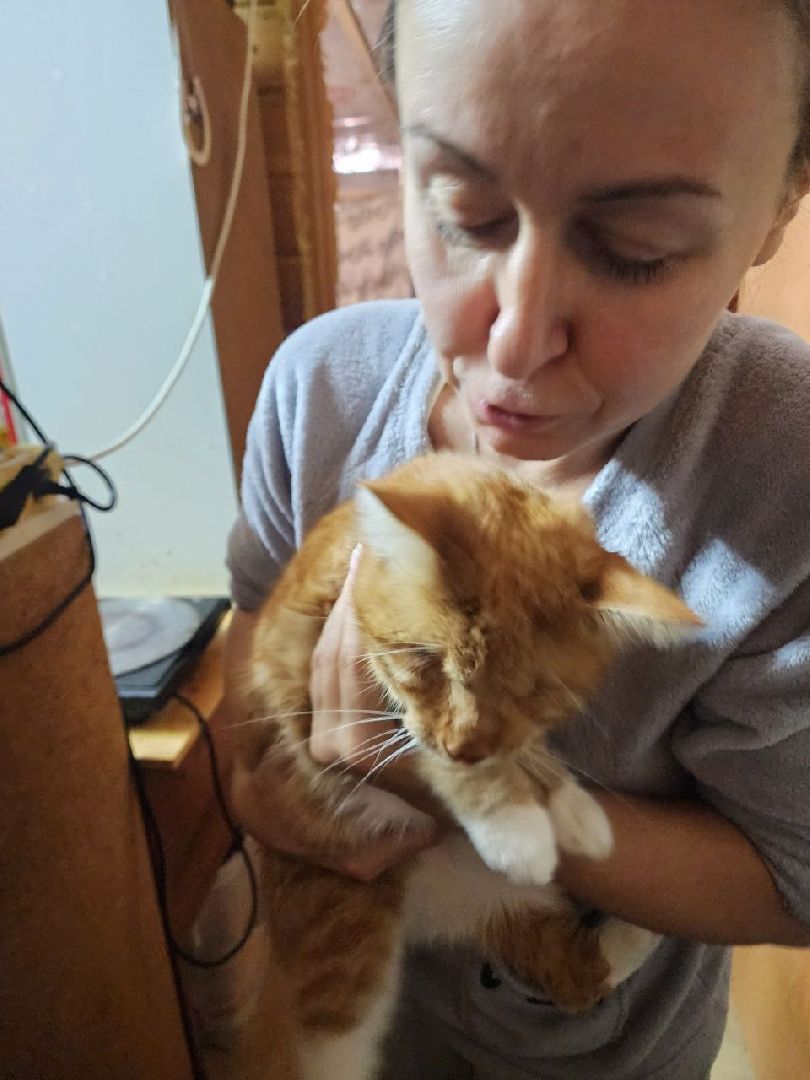 солнечногорск, волантеры, общество,