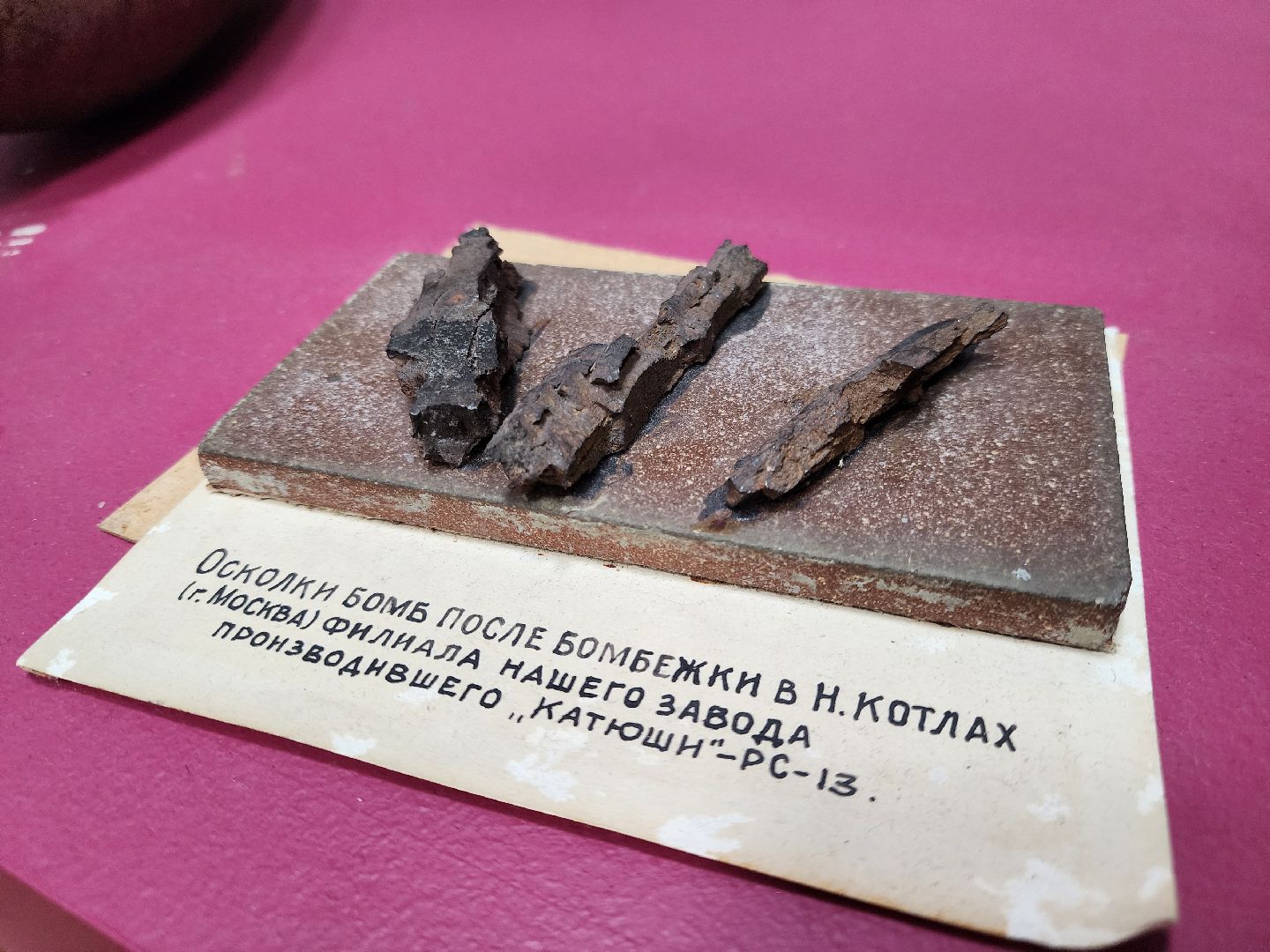 электросталь,  целевое направление, общество, студент, завод, работа,