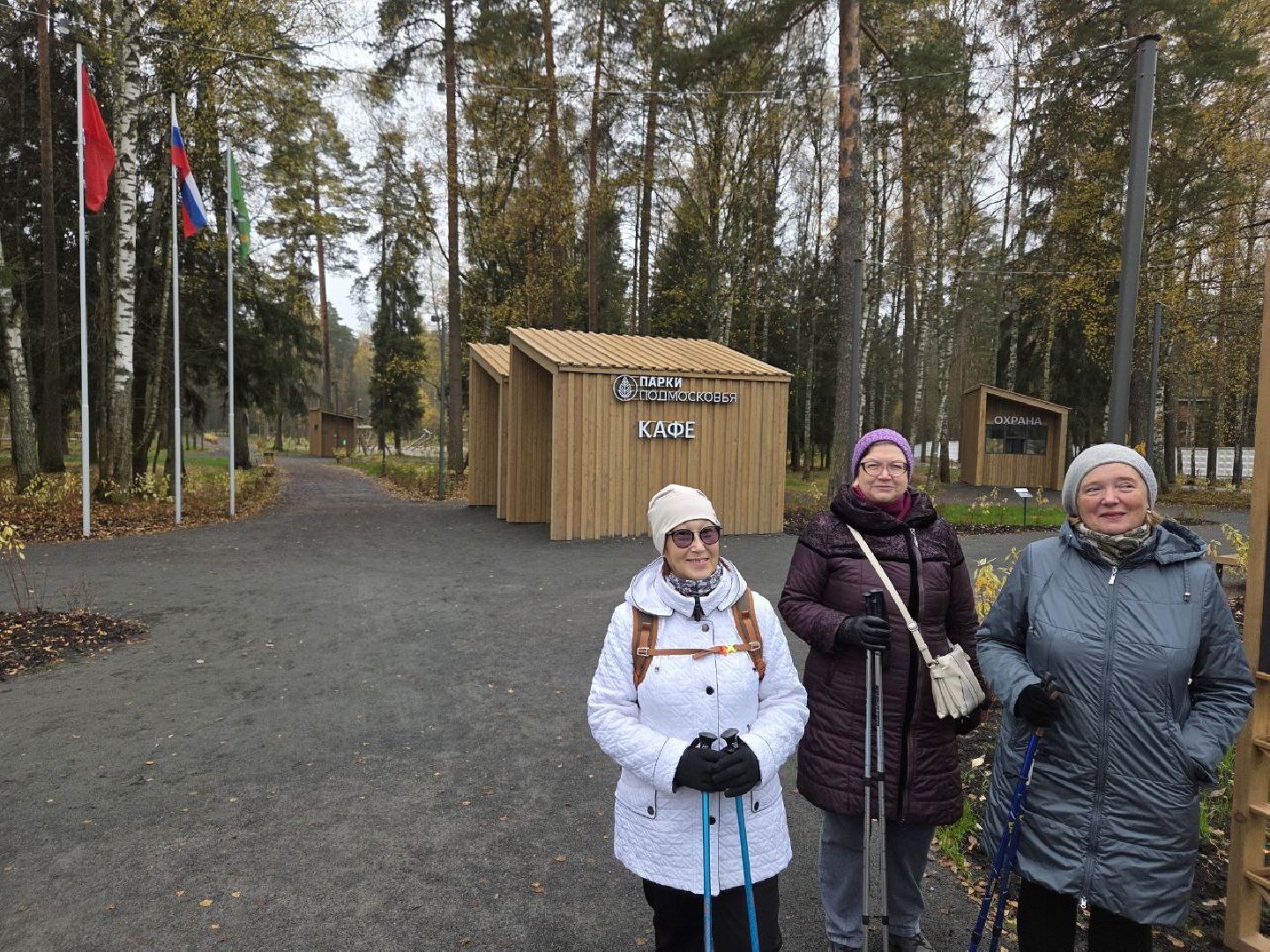 красноармейск, городской округ пушкинский, банный лес, скандинавская ходьба, зож,