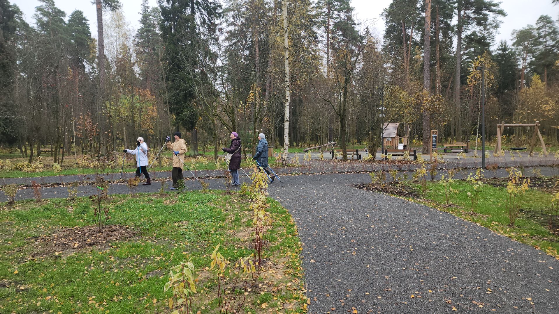 красноармейск, городской округ пушкинский, банный лес, скандинавская ходьба, зож,