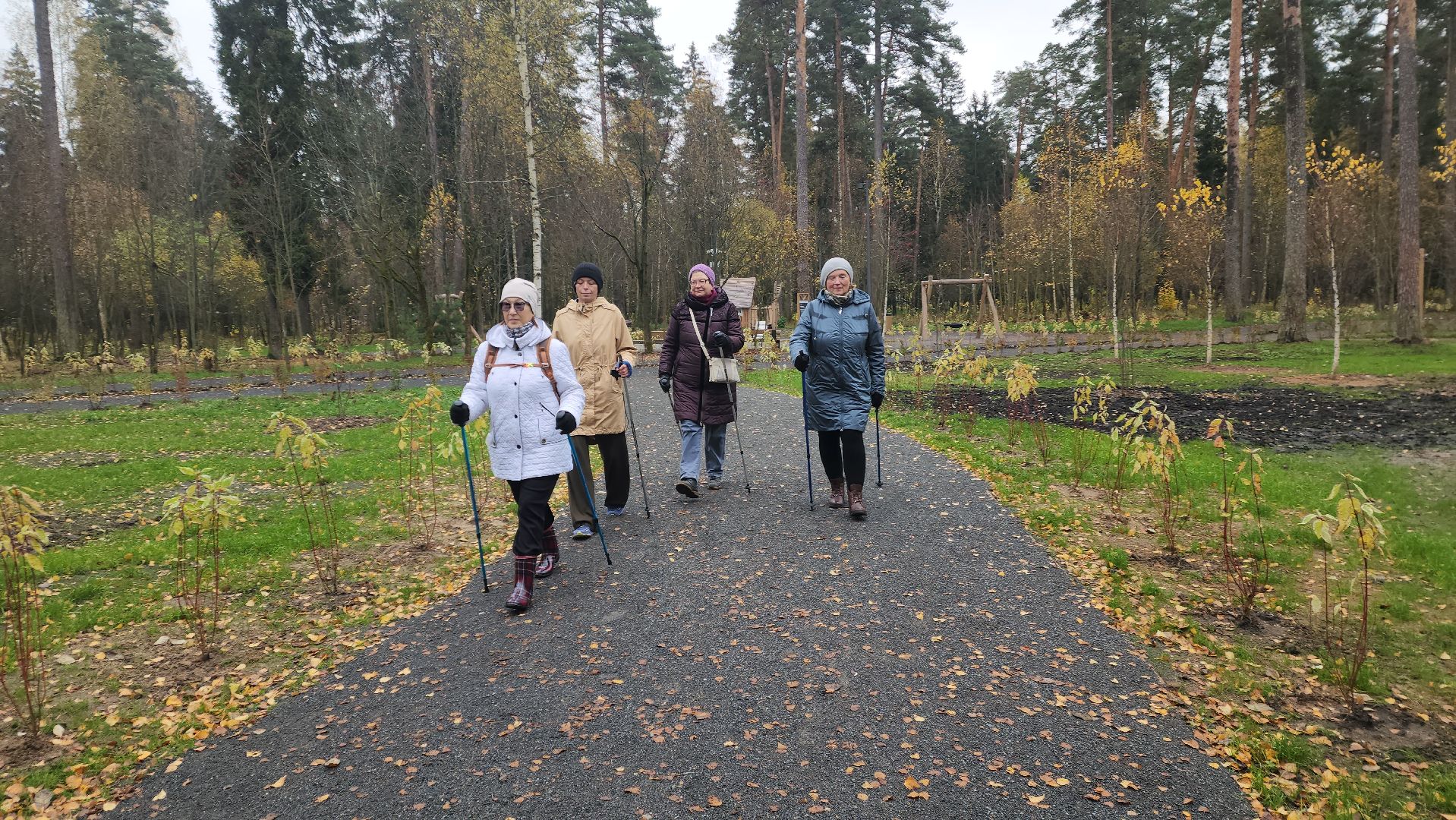 красноармейск, городской округ пушкинский, банный лес, скандинавская ходьба, зож,