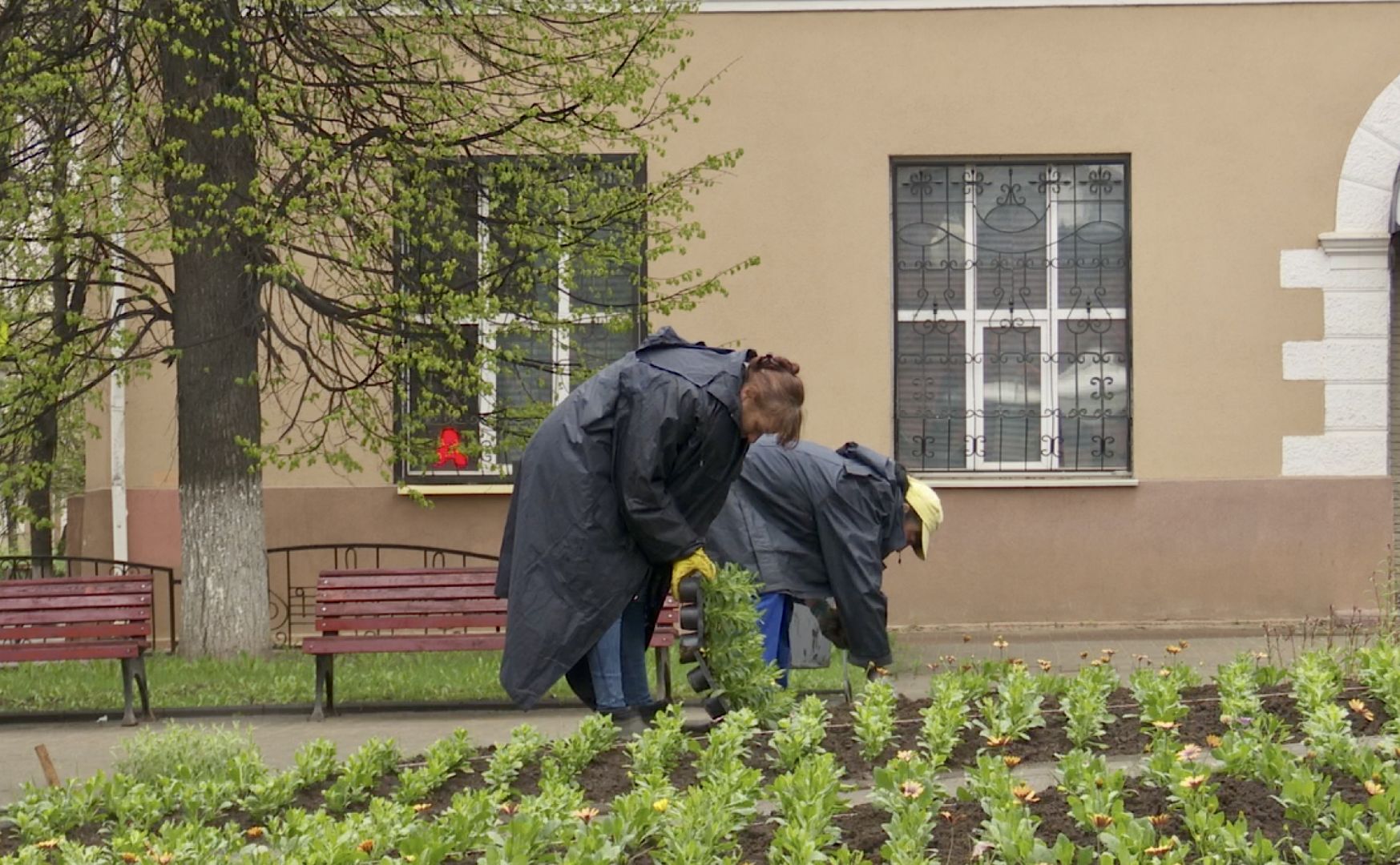 Клин, благоустройство, цветы, весна