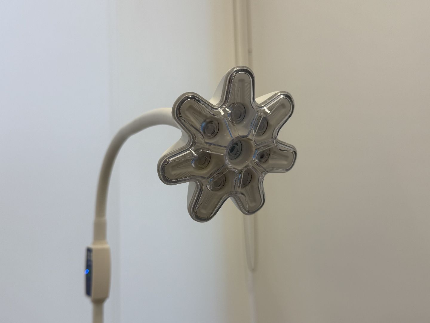 котельники, женская консультация, Открытие, Глава,