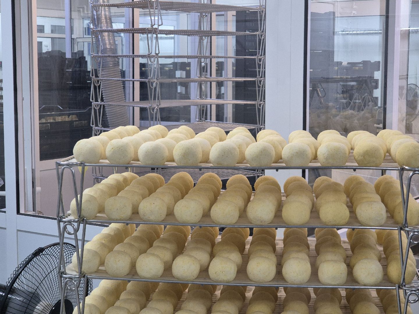 орехово-зуевский округ, сыроварня,