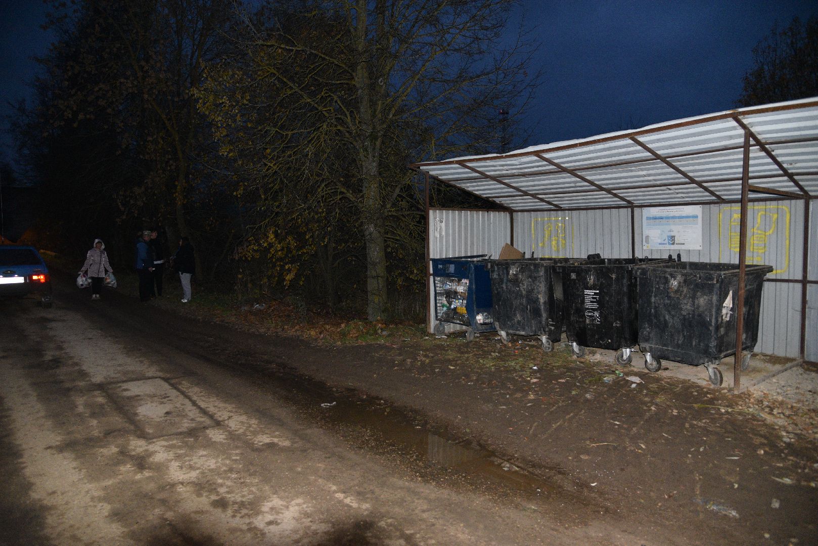 лотошино, выездная администрация, благоустройство, уборка мусора,