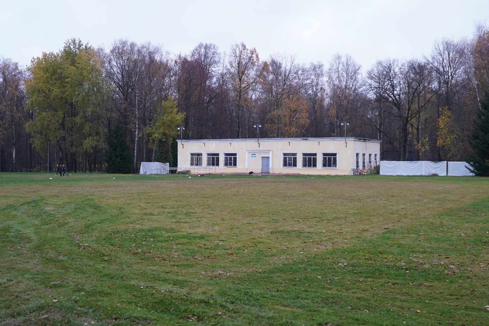 парк островского, ступино, каток, пруд, общественный совет,