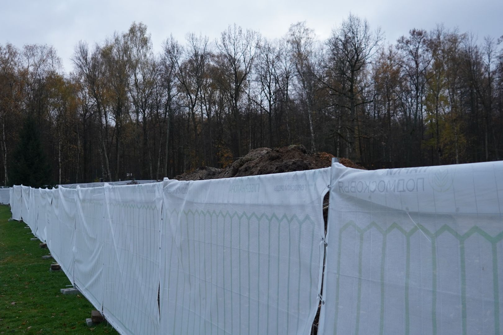 парк островского, ступино, каток, пруд, общественный совет,