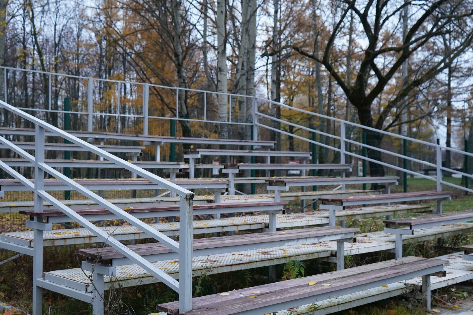 парк островского, ступино, каток, пруд, общественный совет,