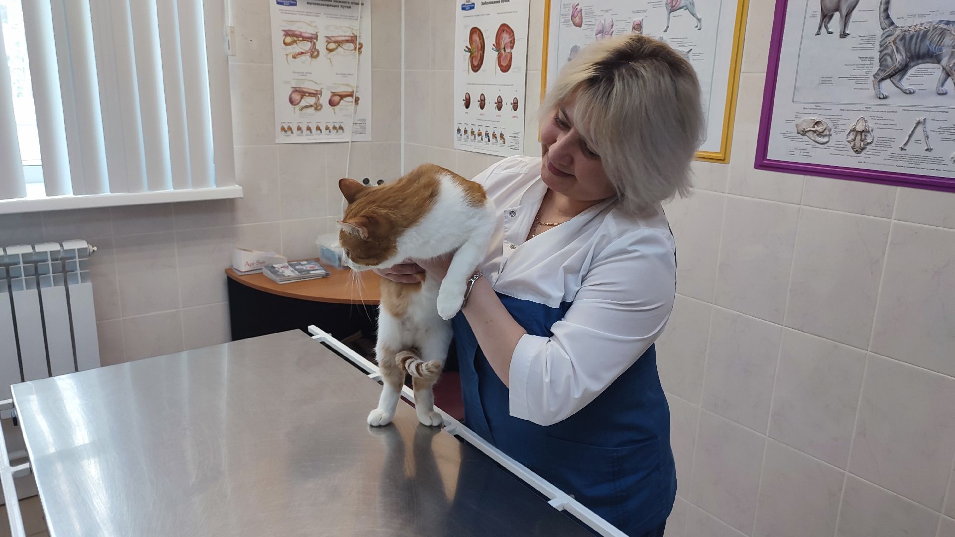 Кашира, бешенство, ветеринарная клиника, профилактика, вакцинация