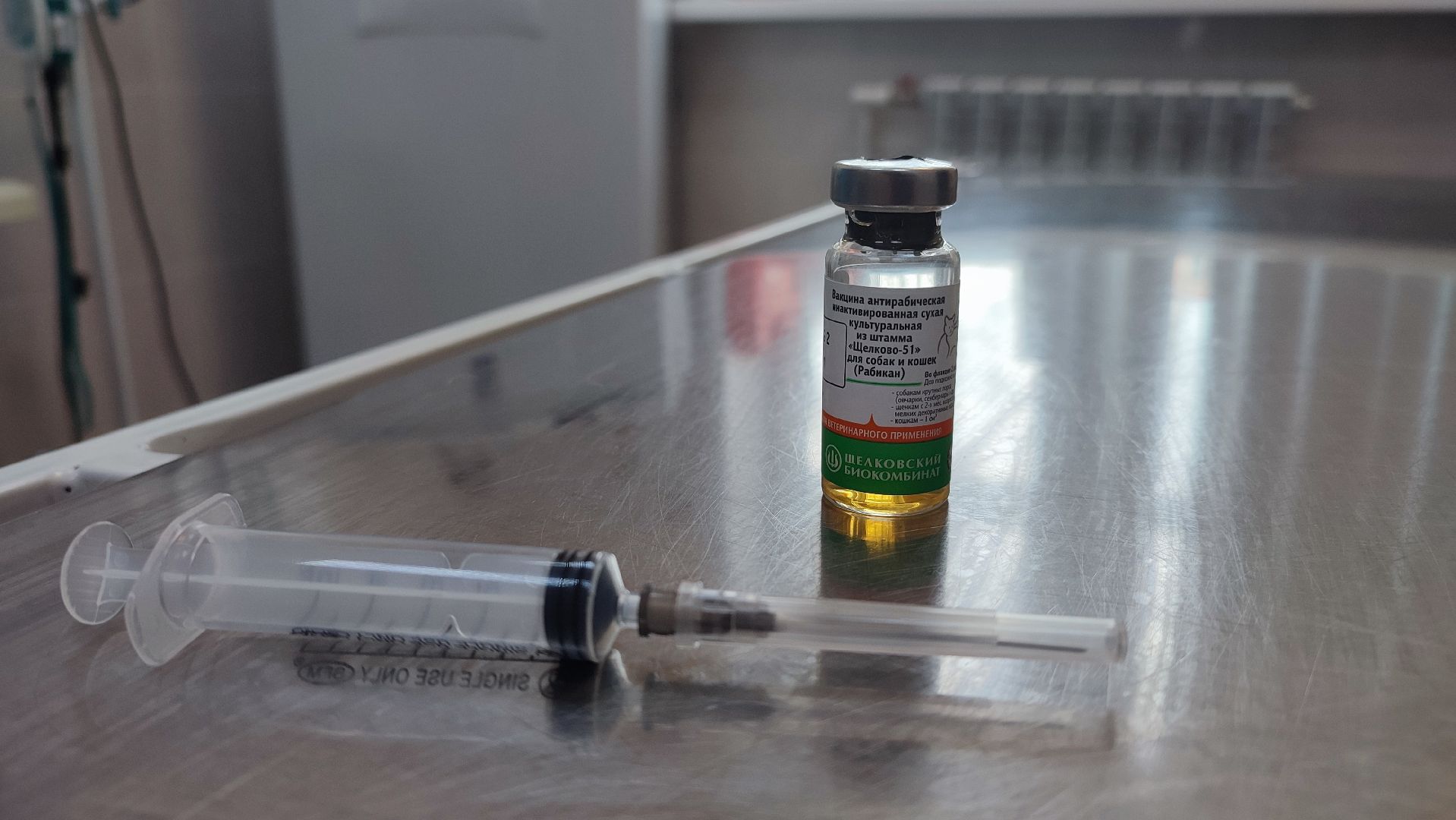 Кашира, бешенство, ветеринарная клиника, профилактика, вакцинация