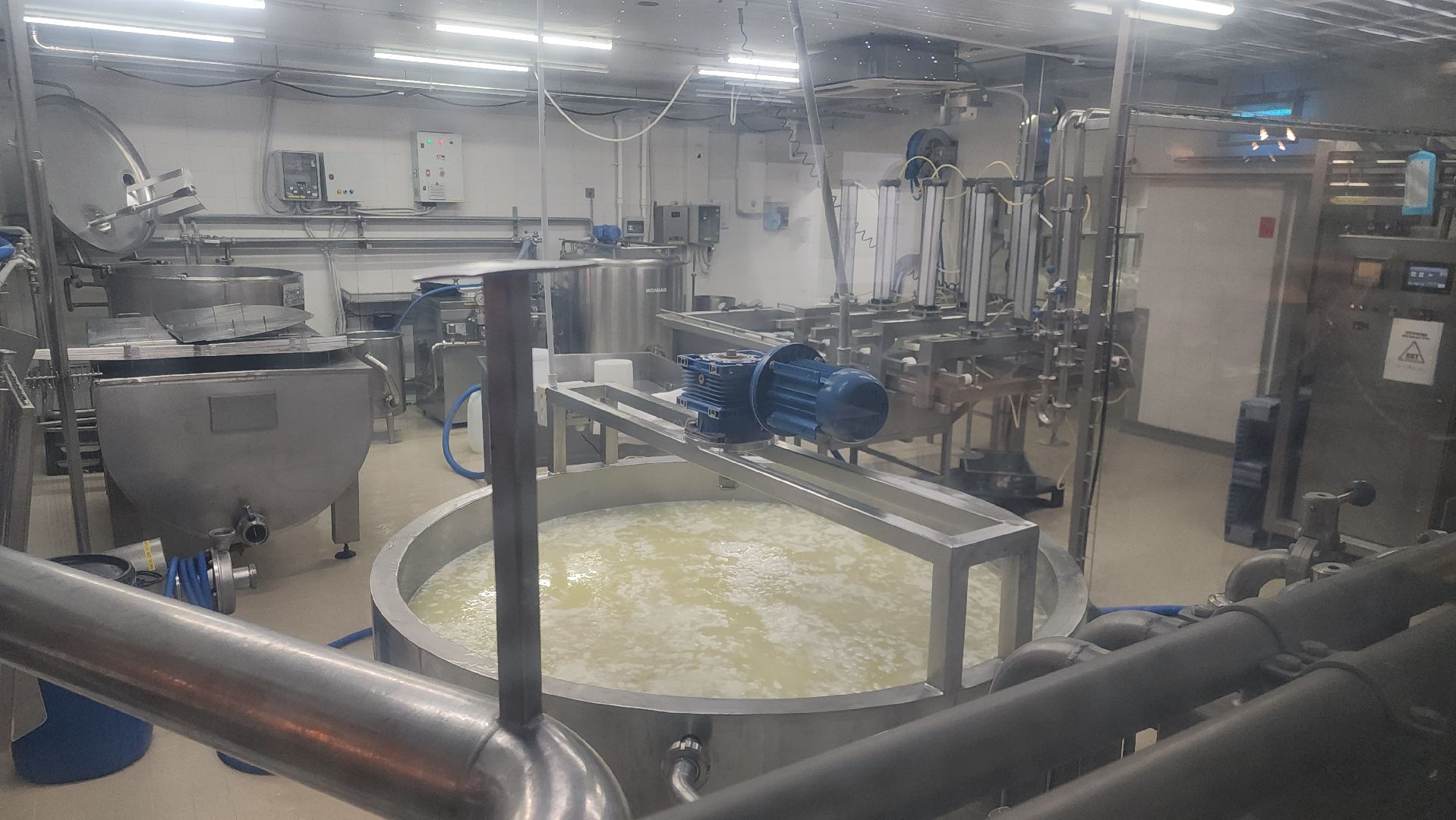 Истра, Сыр, Бизнес,