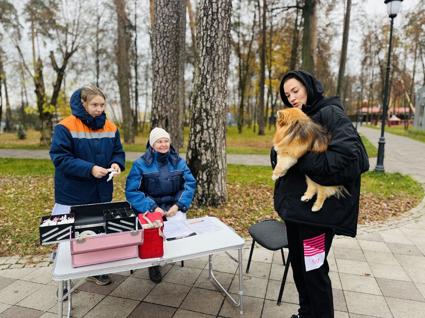 раменское, ветеринар, бешенство, прививка от бешенства, чипирование, регистрация животных,