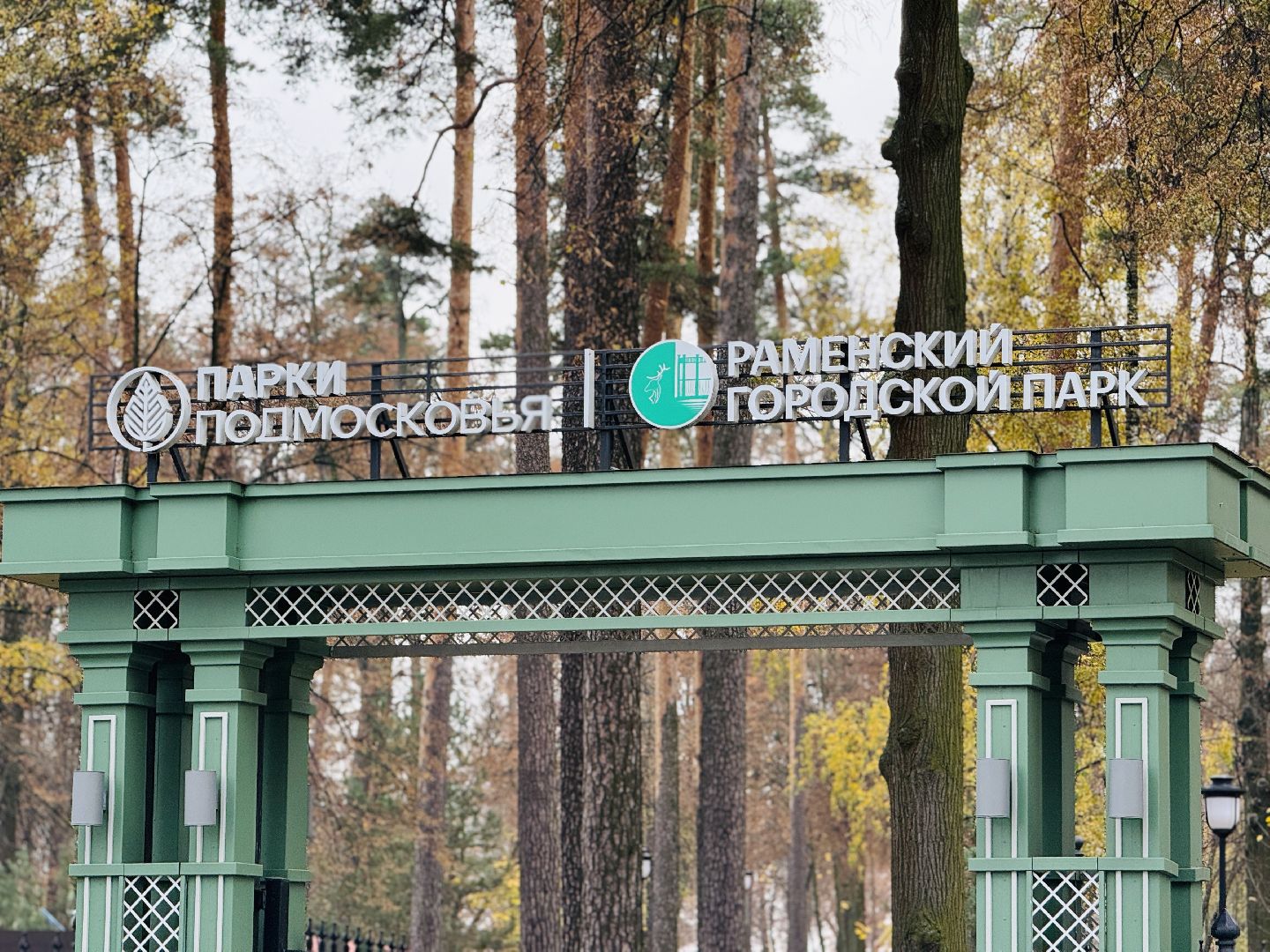 раменское, ветеринар, бешенство, прививка от бешенства, чипирование, регистрация животных,