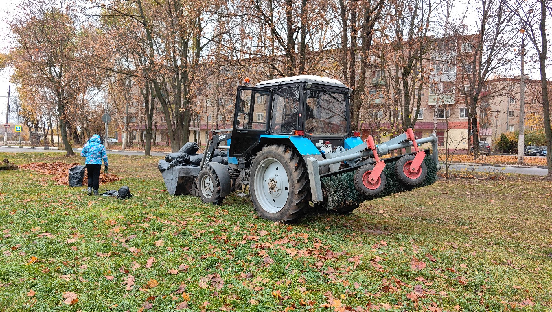 листва, ветки, улицы, мешки ,