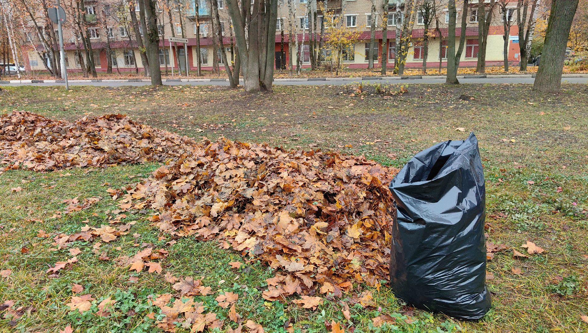 листва, ветки, улицы, мешки ,