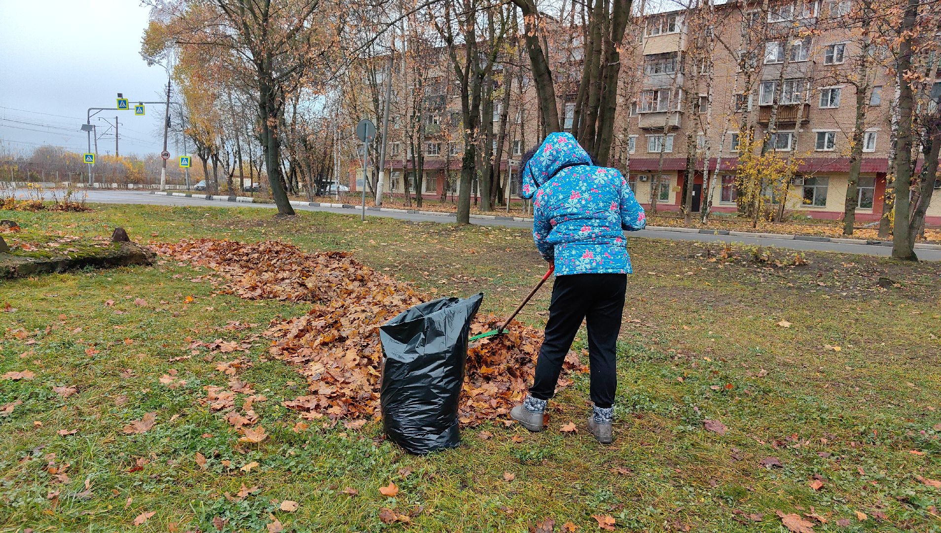 листва, ветки, улицы, мешки ,