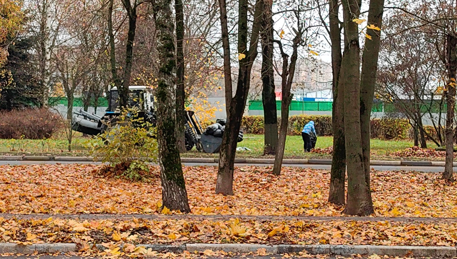 листва, ветки, улицы, мешки ,